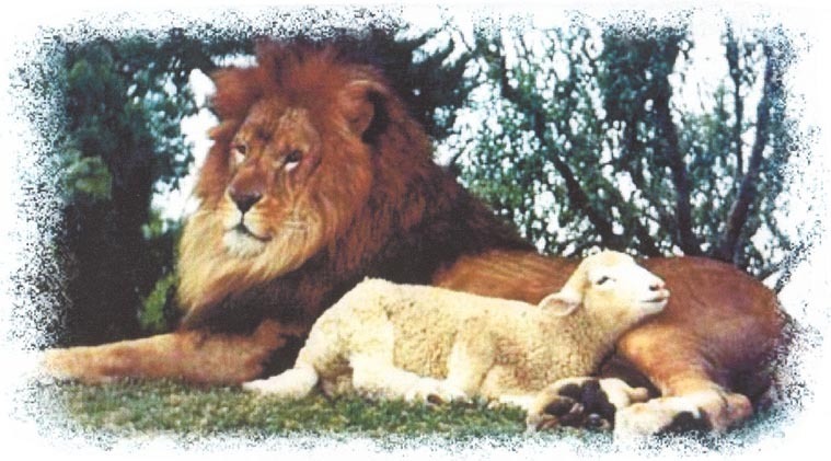 lion lying down with the lamb